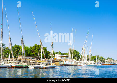 I numerosi feluche sono ormeggiati alla fharf sul Kitchener's island, Aswan, Egitto. Foto Stock