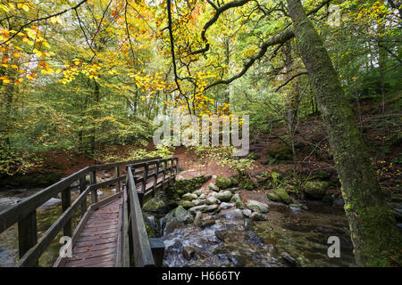 Woodland passerella sul fiume Rothay fino a Stock Ghyll vigore, Ambleside, Parco Nazionale del Distretto dei Laghi, Cumbria Regno Unito Foto Stock