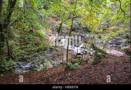 Woodland passerella sul fiume Rothay fino a Stock Ghyll vigore, Ambleside, Parco Nazionale del Distretto dei Laghi, Cumbria Regno Unito Foto Stock