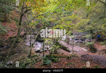 Woodland passerella sul fiume Rothay fino a Stock Ghyll vigore, Ambleside, Parco Nazionale del Distretto dei Laghi, Cumbria Regno Unito Foto Stock