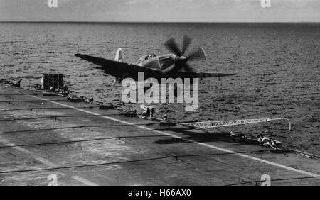 Fairey Firefly fighter atterra sul ponte di volo della Royal Navy portaerei HMS Unicorn 1950 Foto Stock