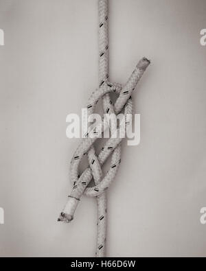 Foto di Michael Carrick Bend, che è un nodo spesso utilizzato per unire due corde o linee. Foto Stock