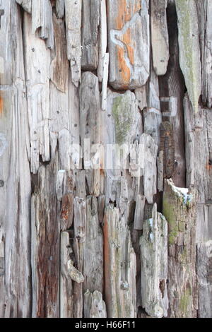 Driftwood perforato insieme formando una superficie con interessanti texture di legno Foto Stock