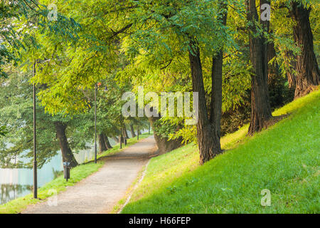 In autunno la mattina in Park Staromiejski (Old Town Park), di Wroclaw, Polonia. Foto Stock