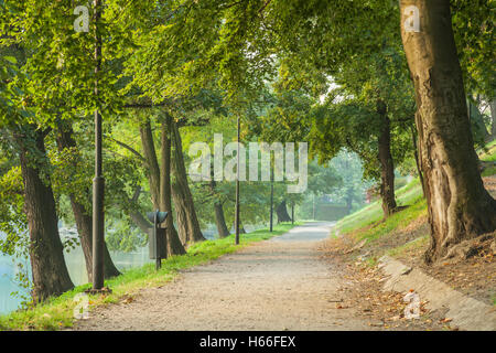 In autunno la mattina in Park Staromiejski (Old Town Park) a Wroclaw, Bassa Slesia, Polonia. Foto Stock