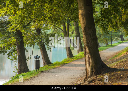 In autunno la mattina in Park Staromiejski (Old Town Park), di Wroclaw, Polonia. Foto Stock