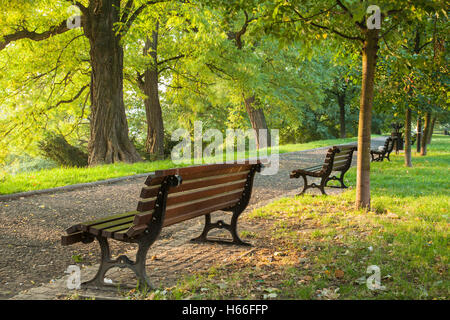 In autunno la mattina in Park Staromiejski (Old Town Park), di Wroclaw, Polonia. Foto Stock