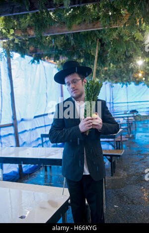 Una religiosa ebraica benedizione uomo un etrog & lulav in una Sukkah in un giorno di pioggia in Cambria Heights, Queens, a New York. Foto Stock