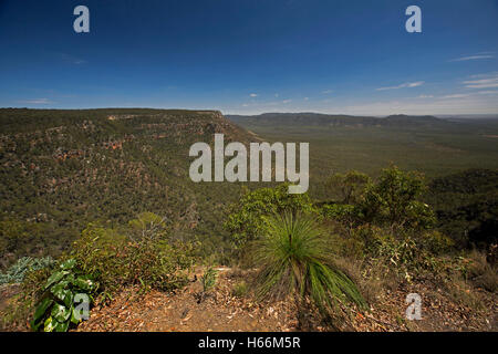 Spettacolare vasto paesaggio australiano, robusto scarpata passando da una profonda valle boscosa a Blackdown alpeggi Parco Nazionale in Queensland Foto Stock