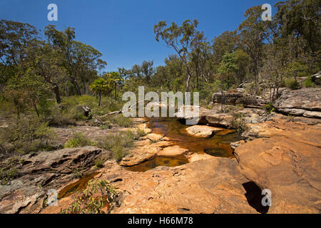 Aust paesaggio dominato da eroso in lastre di arenaria rossa roccia nel letto del torrente antico confina con la foresta di eucalipti & Boulders Foto Stock