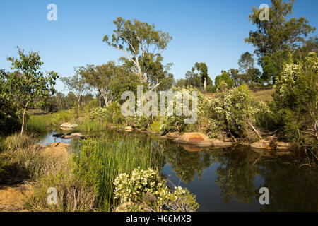 Il pittoresco entroterra australiano di paesaggio, fiori selvatici, Red Rocks, alberi e cielo blu riflessa in superficie a specchio di acqua del flusso pigro dopo la pioggia Foto Stock