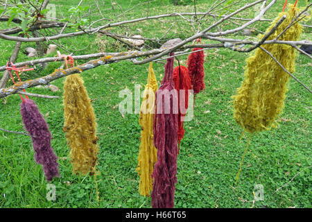 Fasci di lana tinta essiccazione su un albero in Perù. Foto Stock