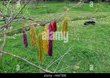 Fasci di lana tinta essiccazione su un albero in Perù. Foto Stock