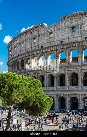 Il Colosseo o il Colosseo, Roma, lazio, Italy Foto Stock