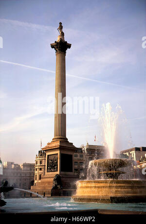 Nelson la colonna, Trafalgar Square, Londra Foto Stock