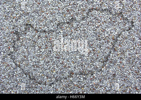 Mappa di Ungheria sui semi di papavero Foto Stock