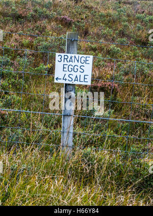 Divertenti per vendita sign for free range uova fissate a un fencepost al lato di una fattoria scozzese road con erica viola Foto Stock