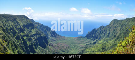 Vista da sopra sul Kalalau Canyon su Kauai, Hawaii Foto Stock