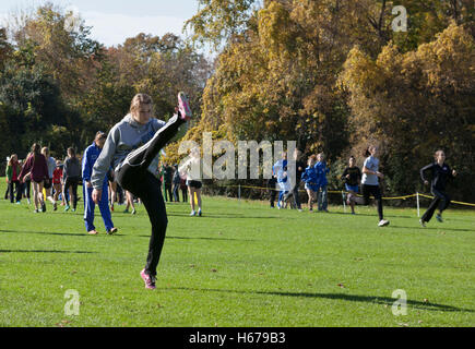 Guide di scorrimento in Wisconsin High School girls' Cross Country incontro di sezione. Foto Stock