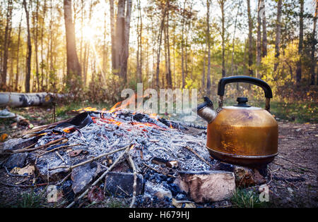 Fumoso bollitore turistica sul fuoco nella foresta di mattina all'alba Foto Stock