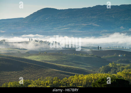 San Quirico d'Orcia, paesaggio toscano, Italia, UE, Europa Foto Stock