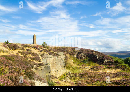 Il capitano Cook monumento su Easby Moor, North York Moors National Park, England, Regno Unito Foto Stock