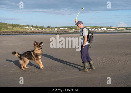 Uomo di gettare una sfera per il suo cane sulla spiaggia. Essi si divertono giocando a un gioco insieme Foto Stock