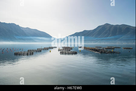 Gabbie per l'allevamento del pesce Foto Stock