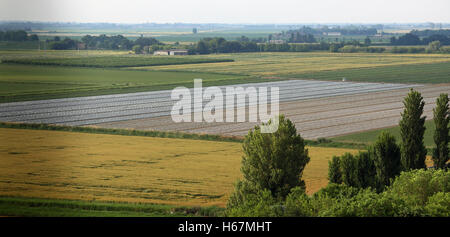 Panorama di campi coltivati nella vasta pianura padana in Italia centrale Foto Stock