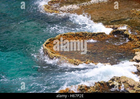 La frantumazione delle onde sulla costa rocciosa di Bonaire, Antille olandesi Foto Stock