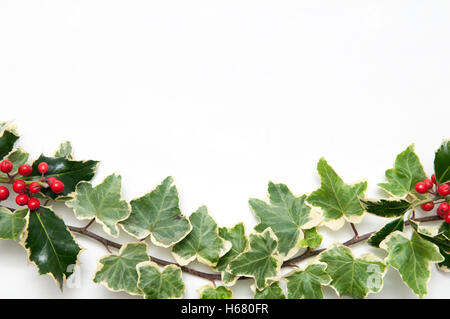 Festive rametto di agrifoglio e foglie d'edera con frutti di bosco isolato su uno sfondo bianco per un modello di natale Foto Stock