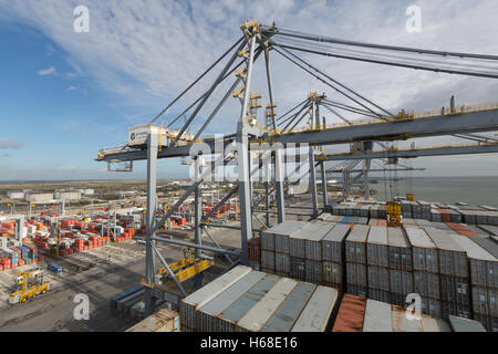 I contenitori di spedizione a London Gateway, Essex Foto Stock