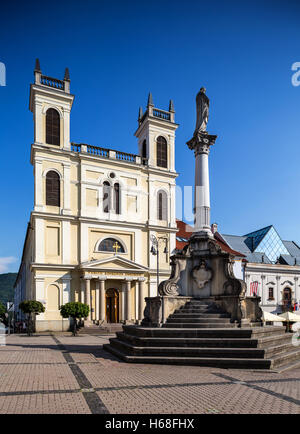 Banska Bystrica, Slovacchia - 07 agosto 2015: San Francesco Saverio in cattedrale sulla piazza principale di Banska Bystrica, Slovacchia Foto Stock