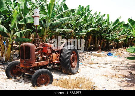 Rusty vecchio trattore Foto Stock