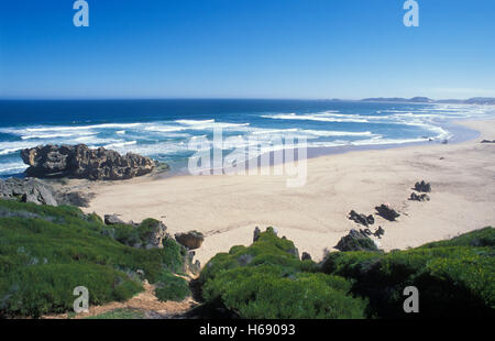 Spiaggia a Brenton-su-Mare, natura selvaggia del Parco Nazionale, in Knysna, Garden Route, Western Cape, Sud Africa e Africa Foto Stock