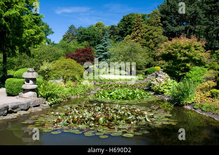 Giardino giapponese in Westfalenpark, Dortmund, Ruhrgebiet regione Renania settentrionale-Vestfalia Foto Stock