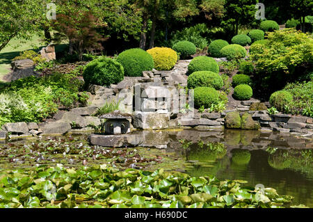 Giardino giapponese in Westfalenpark, Dortmund, Ruhrgebiet regione Renania settentrionale-Vestfalia Foto Stock