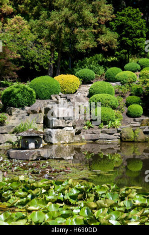 Giardino giapponese in Westfalenpark, Dortmund, Ruhrgebiet regione Renania settentrionale-Vestfalia Foto Stock