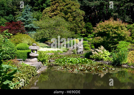 Giardino giapponese in Westfalenpark, Dortmund, Ruhrgebiet regione Renania settentrionale-Vestfalia Foto Stock