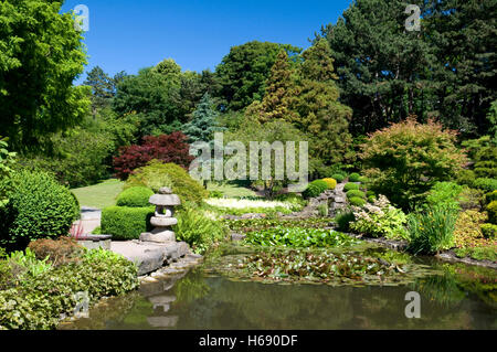 Giardino giapponese in Westfalenpark, Dortmund, Ruhrgebiet regione Renania settentrionale-Vestfalia Foto Stock