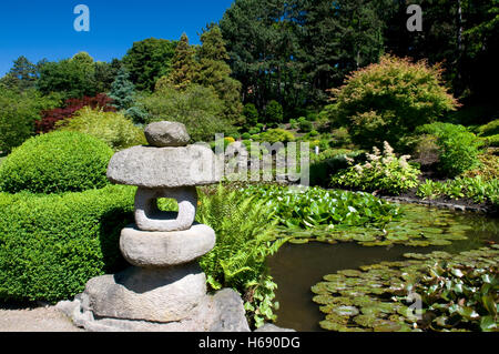 Giardino giapponese in Westfalenpark, Dortmund, Ruhrgebiet regione Renania settentrionale-Vestfalia Foto Stock