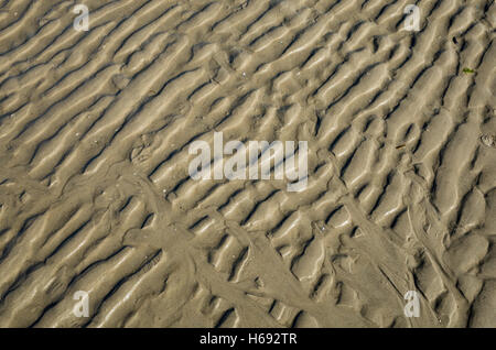 Am Strand. Langeoog Deutschland in Germania. Modelli a sinistra nella sabbia sulla spiaggia dal mare in recessione a bassa marea. Foto Stock