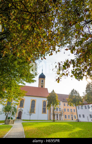 Gessertshausen: Oberschönenfeld Abbey, chiesa, Schwaben, Svevia, Baviera, Baviera, Germania Foto Stock