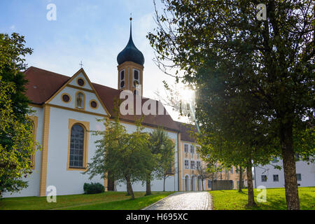 Gessertshausen: Oberschönenfeld Abbey, chiesa, Schwaben, Svevia, Baviera, Baviera, Germania Foto Stock