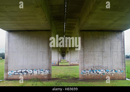 Graffiti sui pilastri del ponte stradale sul Fiume Ijssel e la sua golena vicino a Deventer nei Paesi Bassi Foto Stock