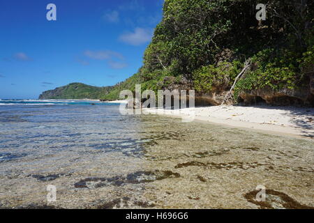 Il paesaggio costiero di Rurutu island, piccola spiaggia sulla costa rocciosa con vegetazione, oceano pacifico del sud, Austral, Polinesia Francese Foto Stock