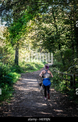 Una donna e il suo cane corre attraverso Tehidy Country Park in Cornovaglia. Foto Stock