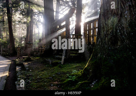 Cimitero di Mount Koya Koya (SAN), vicino Kobo-Daishi il santuario, nella penisola di Kansai, Giappone. Foto Stock