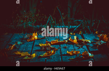 Bellissimo sfondo misterioso con caduto foglie di acero sulle vecchie schede madri per il giorno di Halloween. soft focus. shallow dof Foto Stock