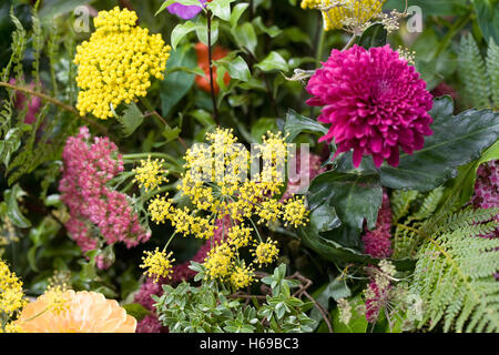 Una disposizione di fiori d'autunno. Foto Stock